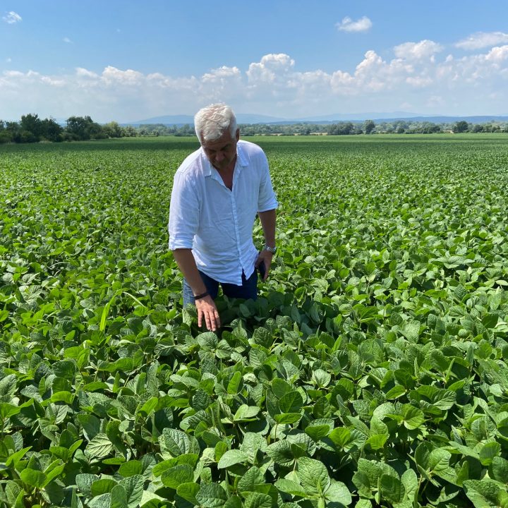 decor_predaj_a_vyroba_osiv_ipk_agro_secovce_003 decor_predaj_a_vyroba_osiv_ipk_agro_secovce_003
